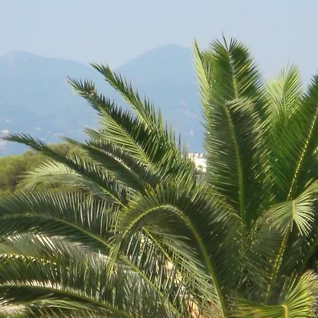 Californi Studio Cannes